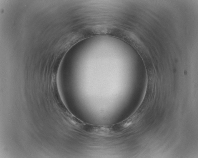 X0000060760125200511241738
