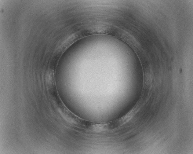 X0000060760126200511241738