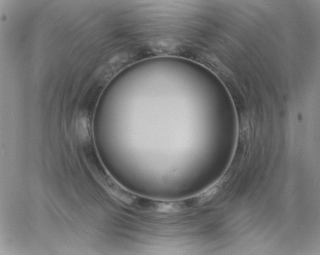 X0000060760130200511241738