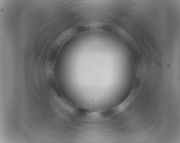 X0000060760140200511241738