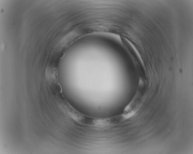 X0000060760141200511241738