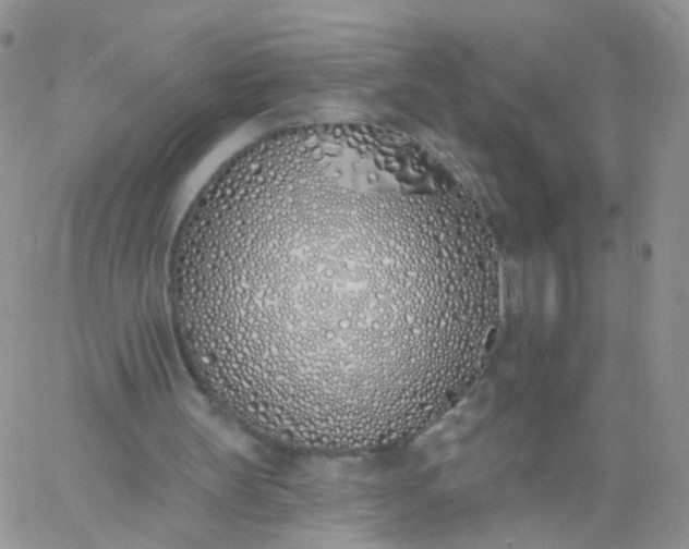 X0000060760147200511241737