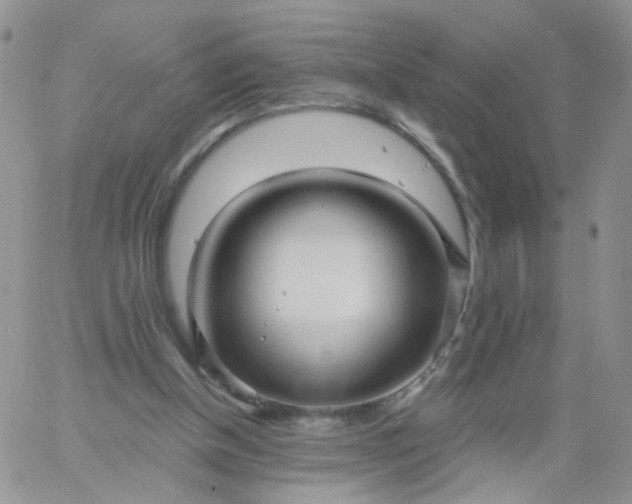 X0000060760154200511241737