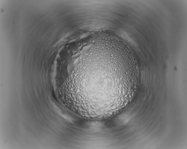 X0000060760165200511241737