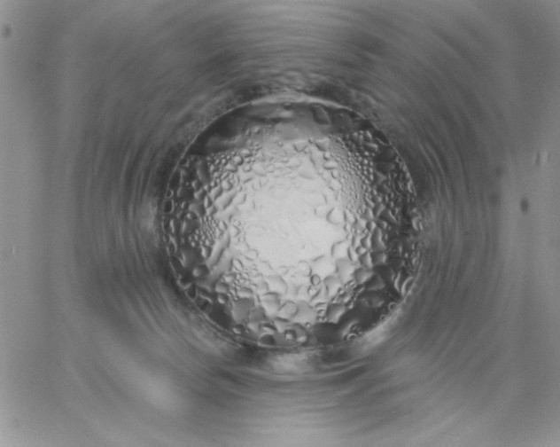 X0000060760178200511241738