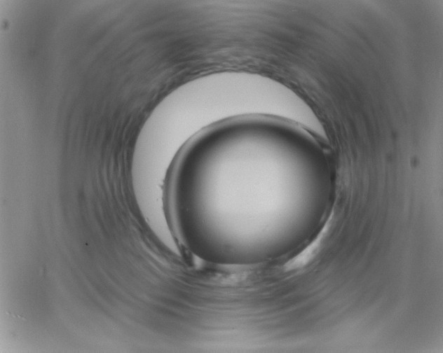 X0000060760186200511241738