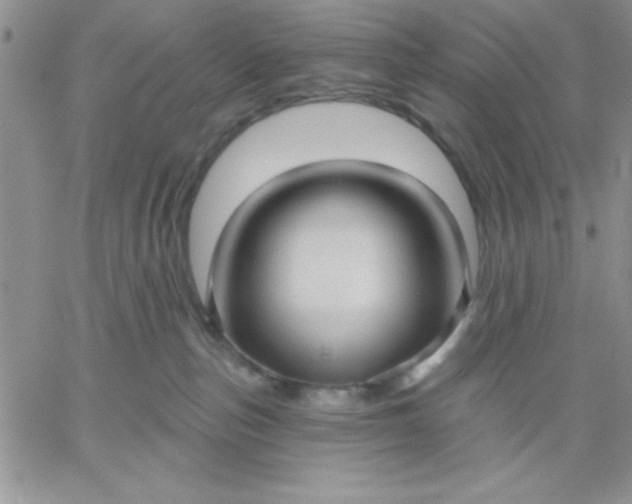 X0000060760187200511241738