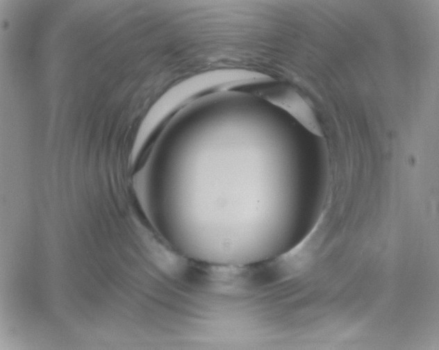 X0000060760192200511241738