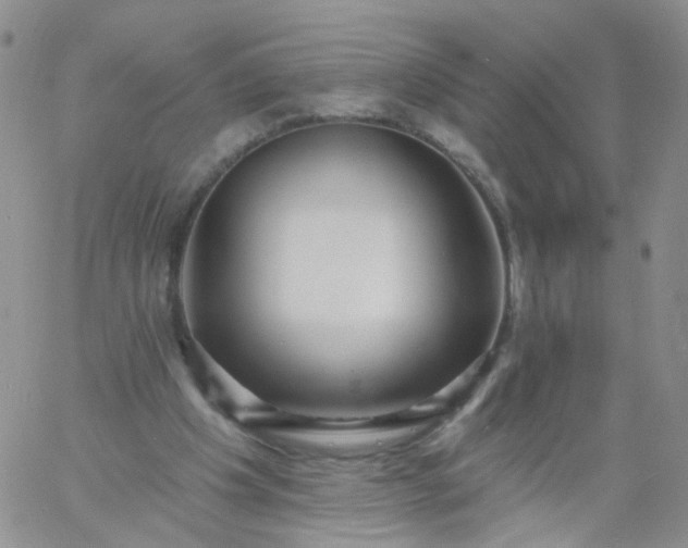 X0000060760201200511241737