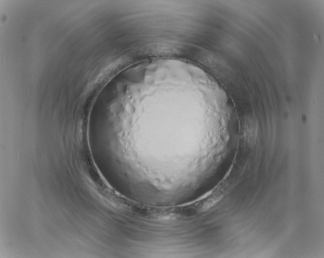 X0000060760206200511241737