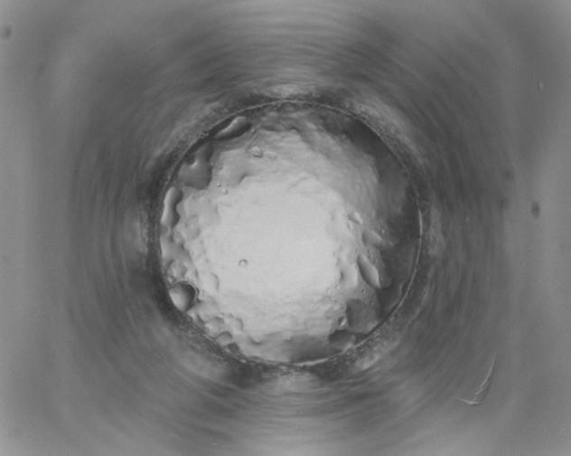 X0000060760210200511241737