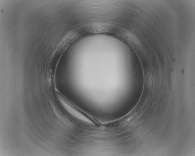 X0000060760214200511241737