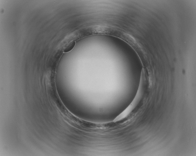 X0000060760217200511241737