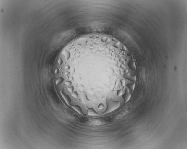 X0000060760218200511241737