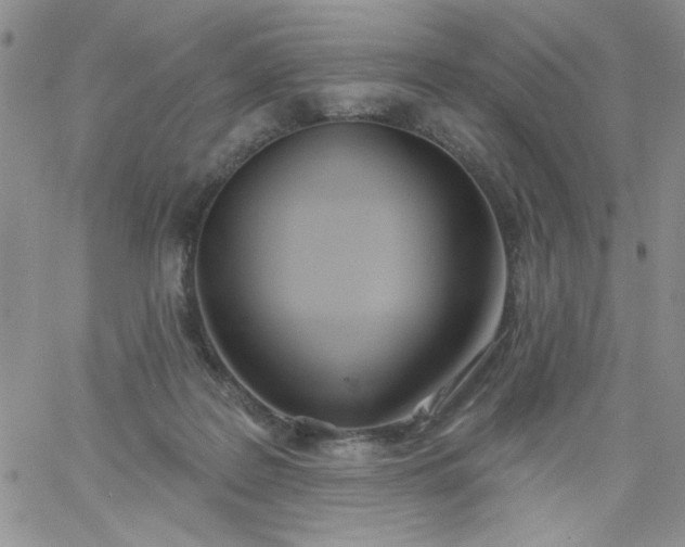 X0000060760219200511241737