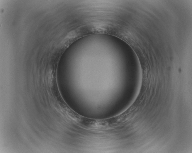 X0000060760223200511241737
