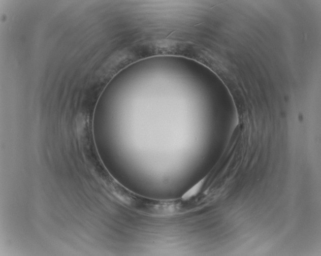 X0000060760225200511241736