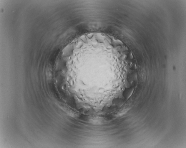 X0000060760226200511241736