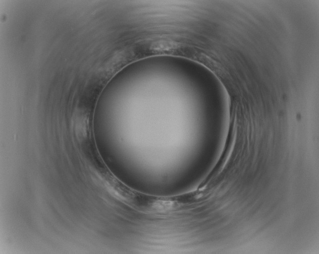 X0000060760227200511241736