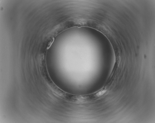 X0000060760229200511241736