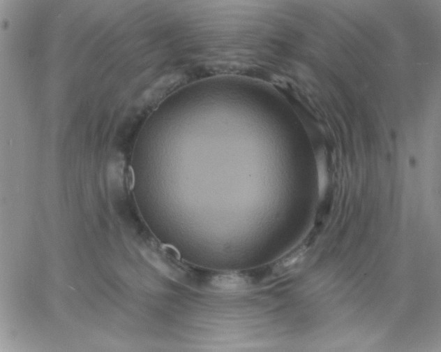 X0000060760231200511241736