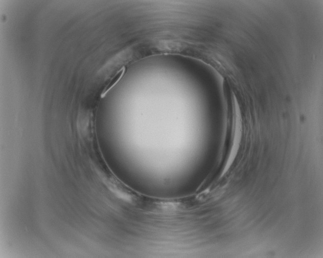 X0000060760233200511241736