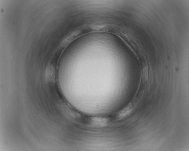 X0000060760234200511241736