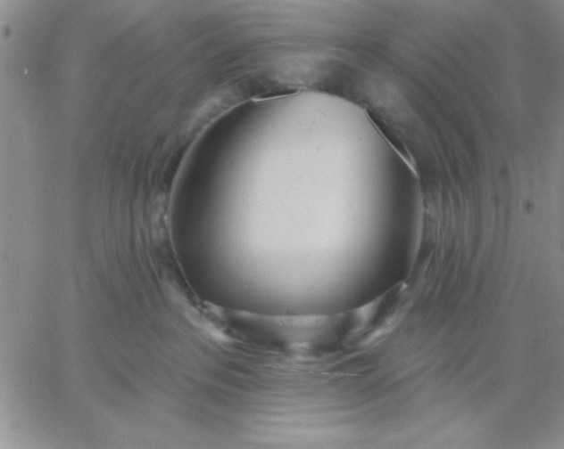 X0000060760237200511241736