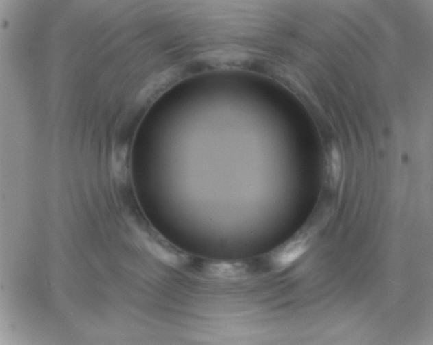 X0000060760239200511241736
