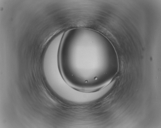X0000060760251200511241736
