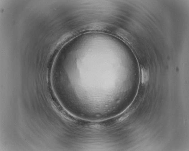 X0000060760253200511241736