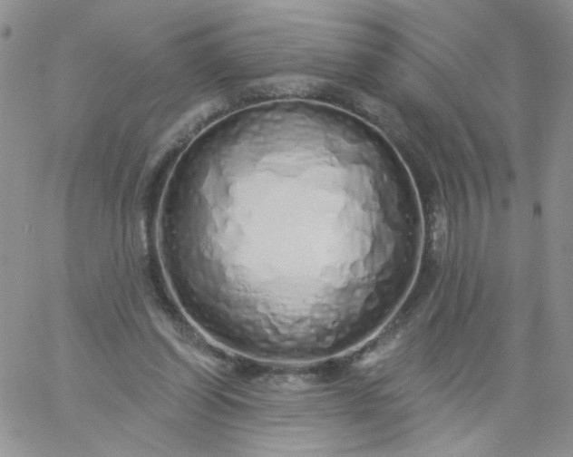 X0000060760254200511241736