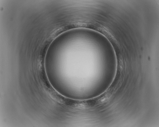 X0000060760259200511241736