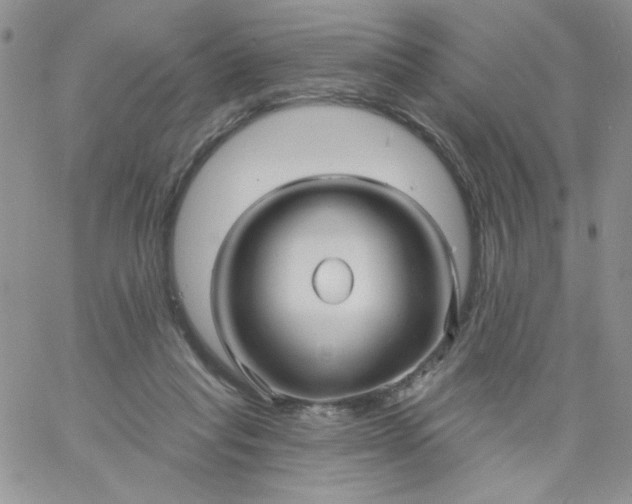 X0000060760261200511241736