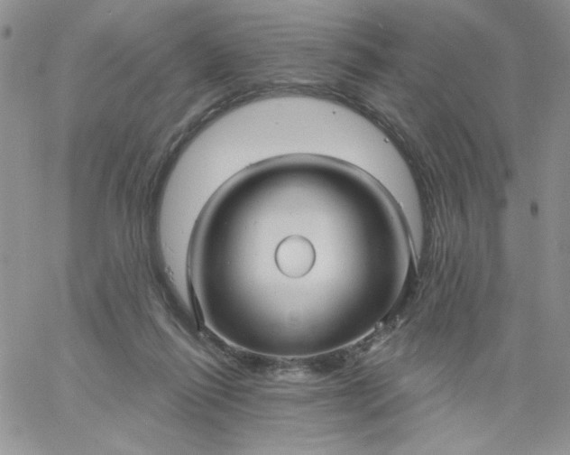 X0000060760262200511241736