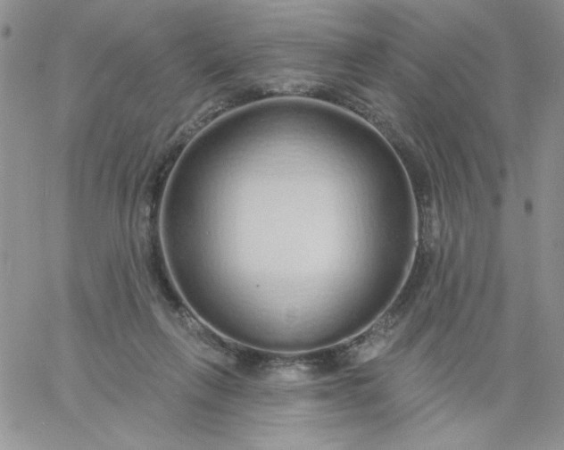 X0000060760263200511241736