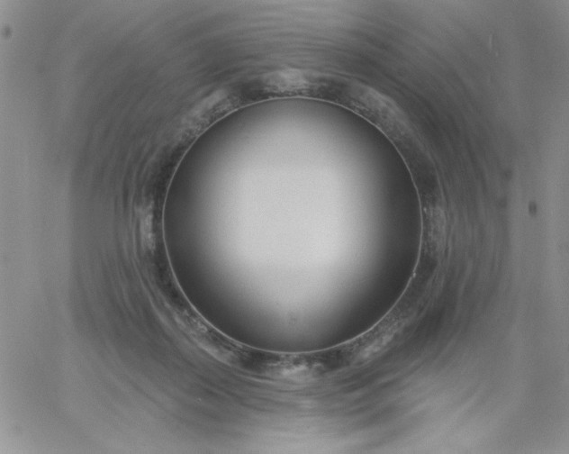X0000060760267200511241736