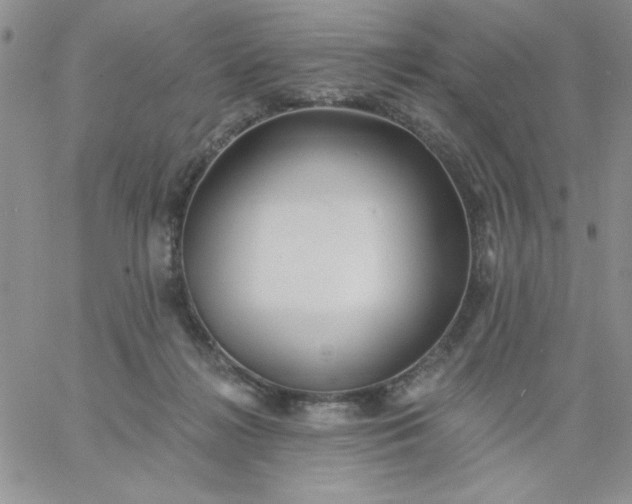 X0000060760268200511241736