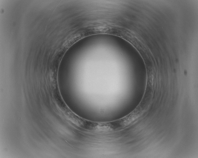 X0000060760270200511241736