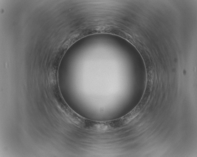 X0000060760272200511241736