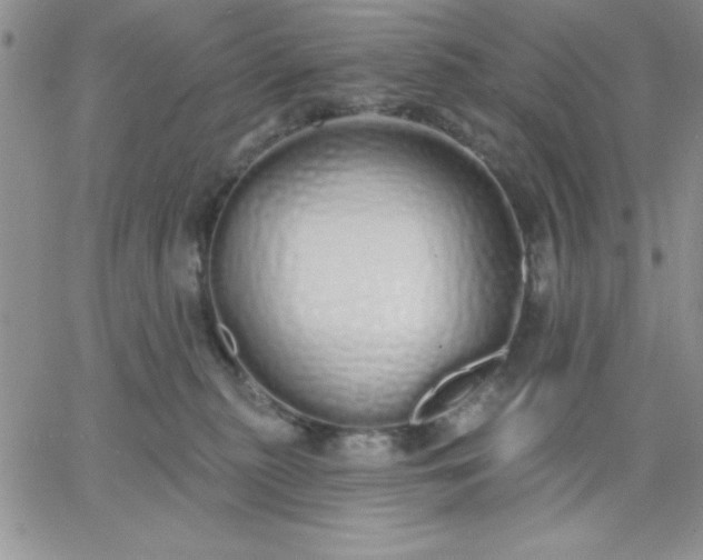 X0000060760279200511241736