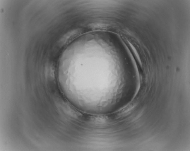 X0000060760282200511241736