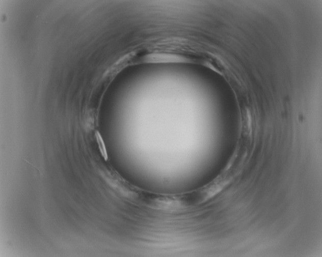 X0000060760284200511241736