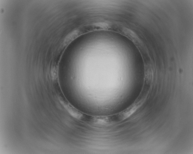 X0000060760285200511241736
