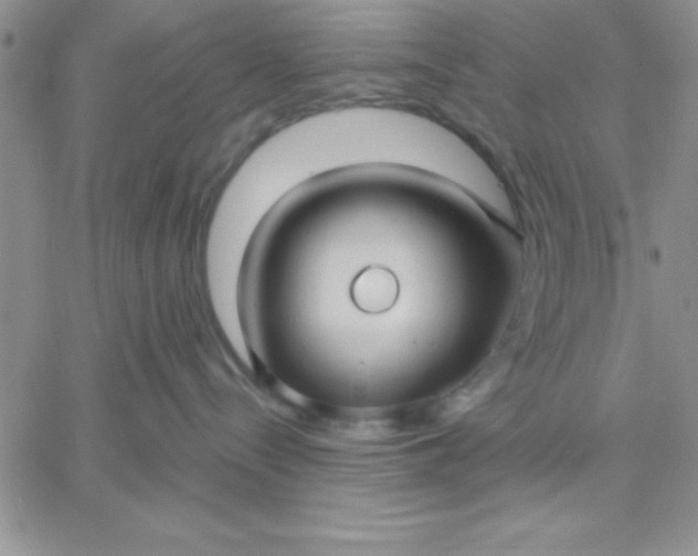 X0000060760288200511241736