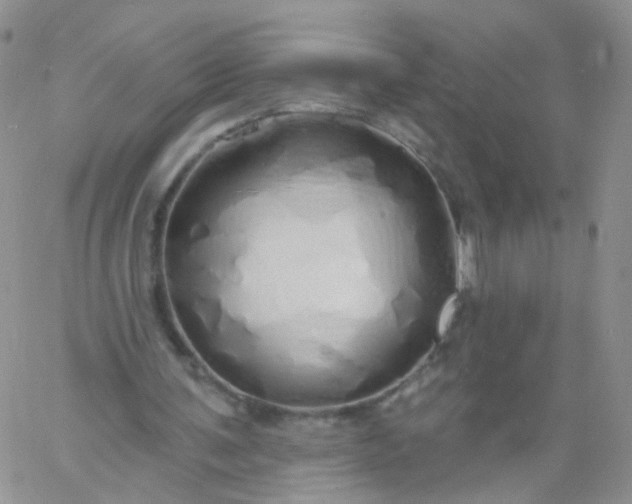 X0000060760291200511241735