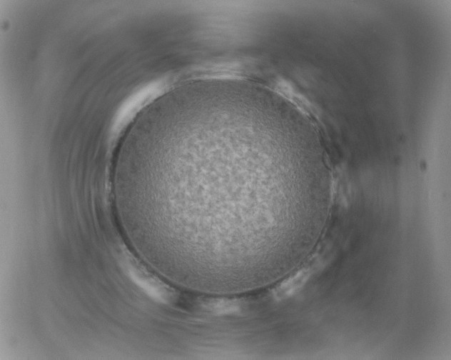 X0000060760293200511241735