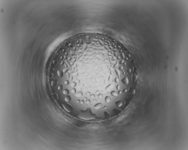 X0000060760294200511241735