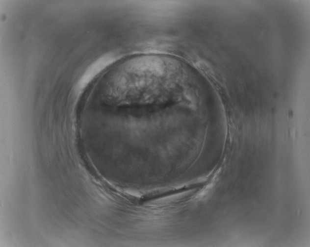 X0000060760295200511241735