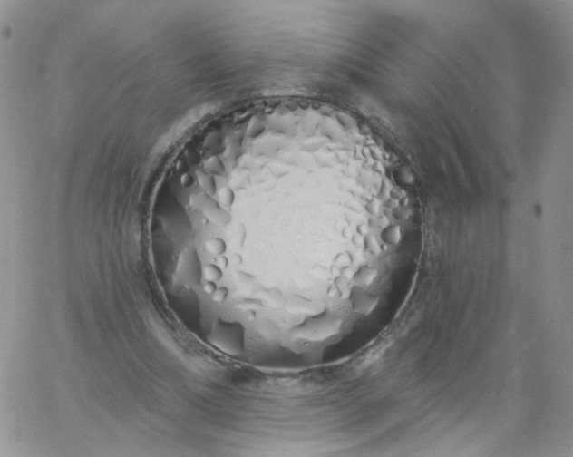 X0000060760298200511241735